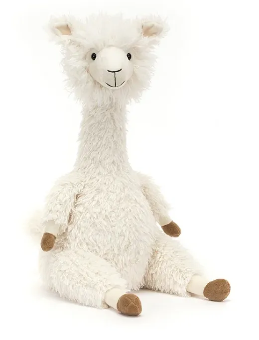 Alonso Alpaca