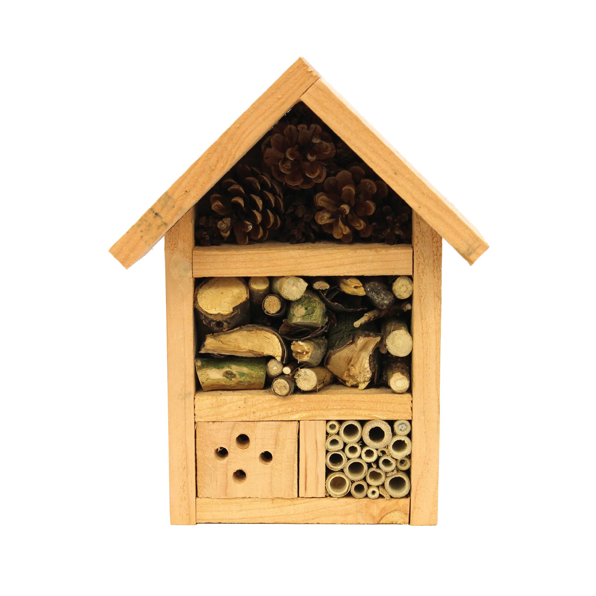 Baby Bugg Bug Hotel