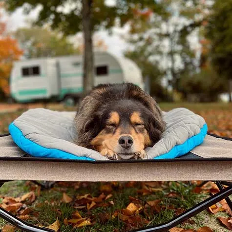 Chuckit! Travel Pillow Bed