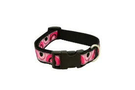 Dog Clip Collar 1" - Clearance