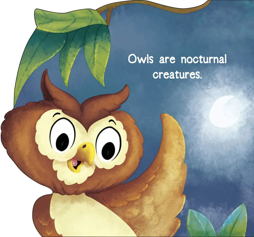 Om Books International Owl ( Animals and Birds )- Cutout Board Books