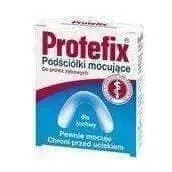 Protefix Bedding mandible x 30 pcs. alginate adhesive properties (fixing)