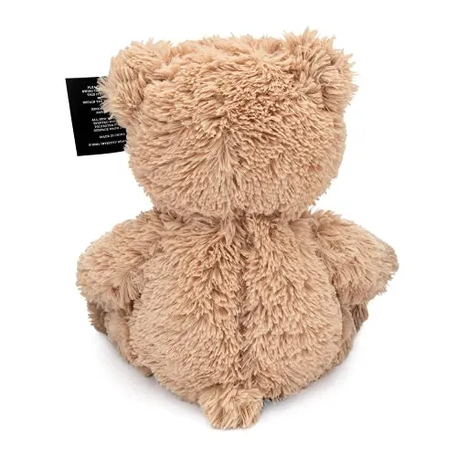 Teddy Bear with Pouch, Easily Insert a Recordable Sound Module