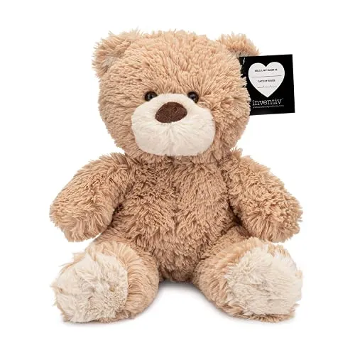 Teddy Bear with Pouch, Easily Insert a Recordable Sound Module