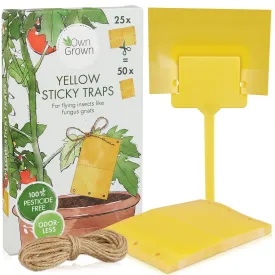 Yellow Sticky Traps For Gnats: 50x Sticky Fly Traps For Indoors  Gnat Traps